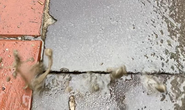 Kırklareli'nde Yağmur Çilesi: Kaldırımlar Vatandaşa Tuzak Oldu