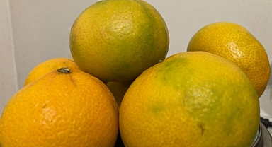 Kış Aylarının Şifa Kaynağı: Mandalina