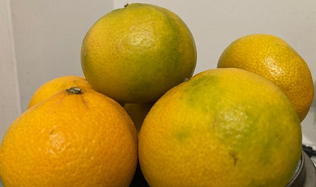 Kış Aylarının Şifa Kaynağı: Mandalina