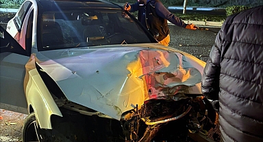 Kontrolden çıkan otomobil ağaca ve elektrik direğine çarptı