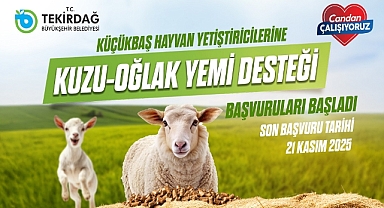 KÜÇÜKBAŞ HAYVAN YETİŞTİRİCİLERİNE KUZU-OĞLAK YEM DESTEĞİ BAŞVURULARI BAŞLADI