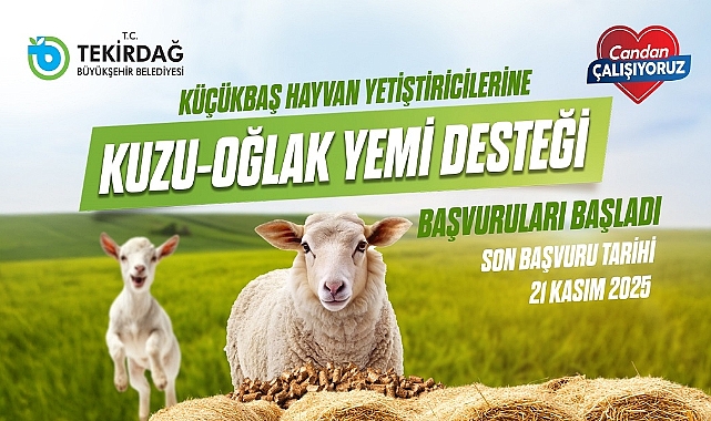 KÜÇÜKBAŞ HAYVAN YETİŞTİRİCİLERİNE KUZU-OĞLAK YEM DESTEĞİ BAŞVURULARI BAŞLADI