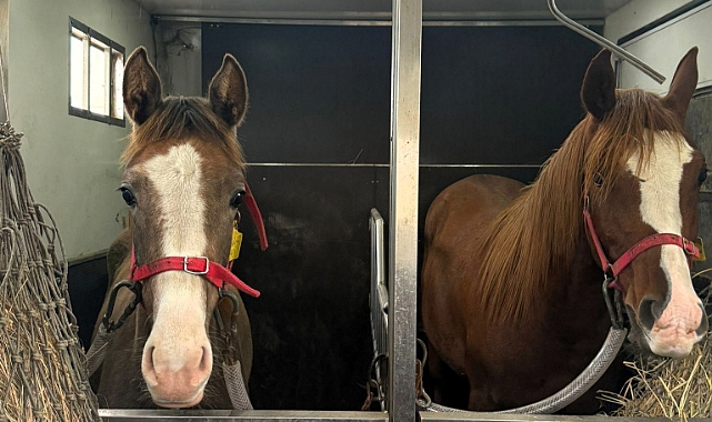 Lüleburgaz'da Hayvansal Ürün Nakillerine Düzenli Denetim