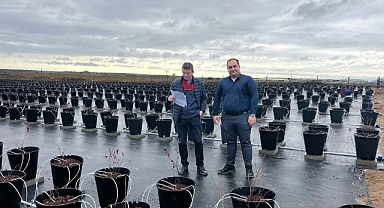 Lüleburgaz'da Yaban Mersini Bahçelerine Teknik İnceleme 