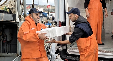 Marmara'da lodos dindi; Tekirdağlı balıkçılar, 600 kasa balık avladı