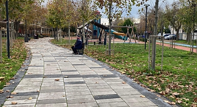 Millet Bahçesinde Sonbaharın Son Renkleri 