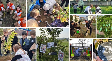 OKULLARDA FİDANLAR, 