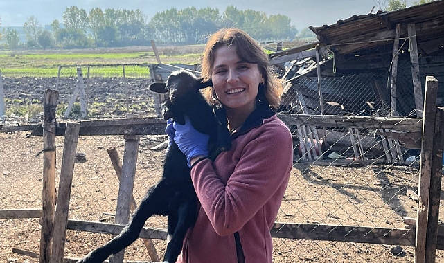 Pehlivanköy'de Aşılama ve Kimliklendirme Çalışması