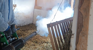 Pehlivanköy’de Kışlık Sivrisinek İlaçlama Çalışmaları Başladı 