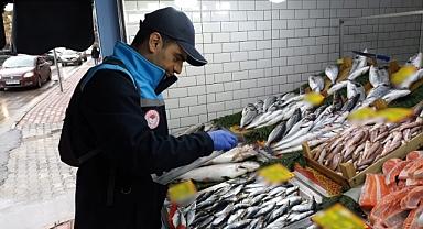 Su Ürünleri Satış Noktalarına Düzenli Denetim