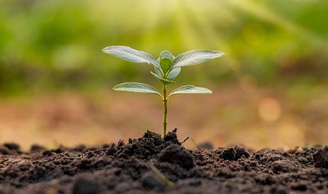 Trakya Üniversitesi Hemşirelik Bölümü’nden Fidan Dikme Etkinliği