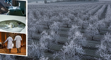 1,6 Milyar Liralık Tarımsal Destek Çiftçilere Ödendi 