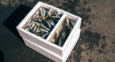 Aralık Ayında Hangi Balıklar Yenir? | Sağlık ve Lezzet Sofralarda Buluşuyor