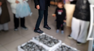 Asgari Boy Altındaki 307 Koli İstavrite El Konuldu