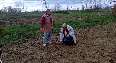 Babaeski’de Sarımsak Üreticilerine Teknik Destek