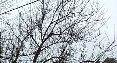 Babaeski’de Yarın Hava Nasıl Olacak? Sıcaklık -5 Dereceye Kadar Düşecek!