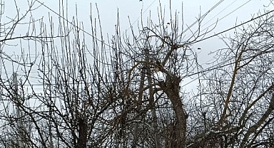 Babaeski’de Yarın Sıcaklıklar -2 ile 6 Derece Arasında Değişecek