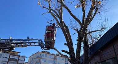 Belediye Ekiplerinden Yeni Yıl Süslemesi 