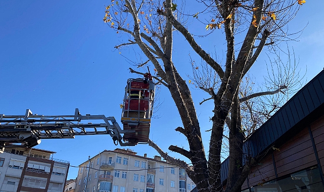 Belediye Ekiplerinden Yeni Yıl Süslemesi