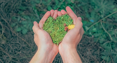 Çevre Koruma Yatırımları Yüzde 114 Arttı