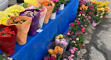 Doğanın Düzenine Uygun Tercih