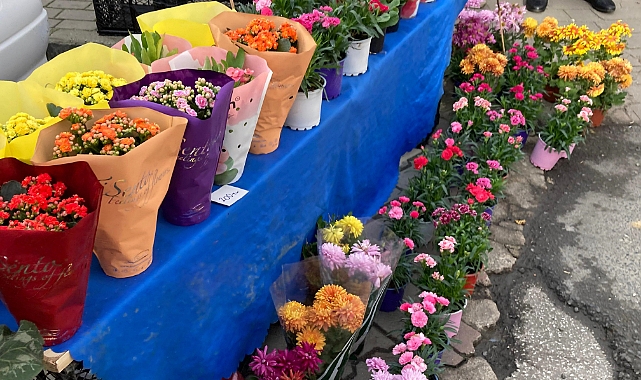 Doğanın Düzenine Uygun Tercih