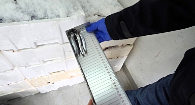 İğneada’da Su Ürünleri Denetimi