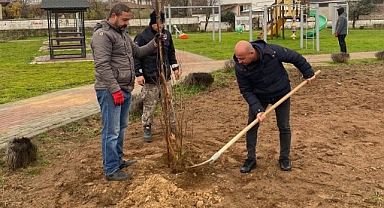 Kavaklı’da Yeşil Alanlar Güçleniyor 