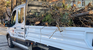 Kırklareli Belediyesi’nden Kışlık Ağaç Bakımı 