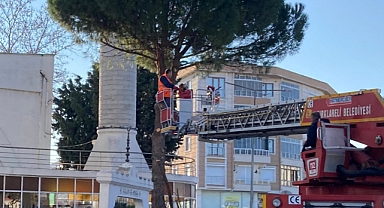 Kırklareli’nde Ağaç Budama Çalışmaları Sürüyor