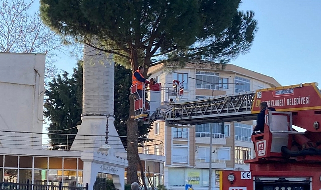 Kırklareli’nde Ağaç Budama Çalışmaları Sürüyor