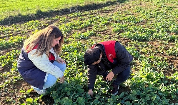 Kofçaz’da Kanola Ekiliş Alanları Mercek Altında