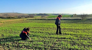 Pehlivanköy’de Arpa Ekim Alanlarında Teknik Kontrol Çalışmaları Yapıldı