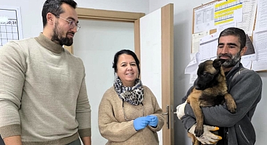 Pınarhisar’da Evcil Hayvanlara Aşılama Çalışmaları Sürüyor