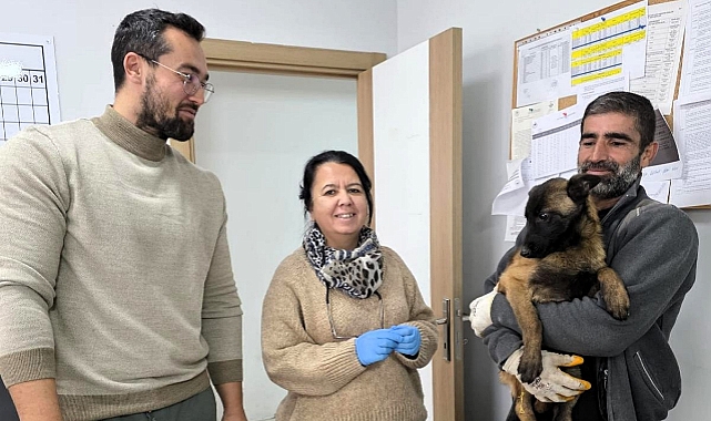 Pınarhisar’da Evcil Hayvanlara Aşılama Çalışmaları Sürüyor