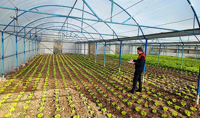 Sera Alanlarında KOBÜKS Kayıt Çalışmaları Sürüyor