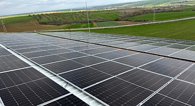 Tarımsal Yatırımlara Yakın Takip 