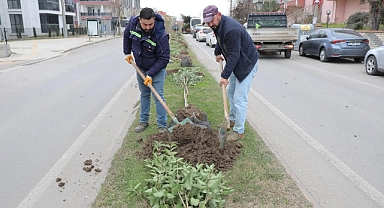 “YEŞİL EDİRNE” VİZYONU ŞEHRİ ADIM ADIM DÖNÜŞTÜRÜYOR