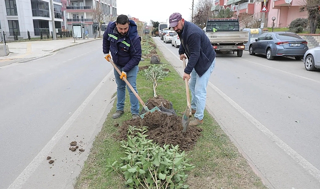 “YEŞİL EDİRNE” VİZYONU ŞEHRİ ADIM ADIM DÖNÜŞTÜRÜYOR