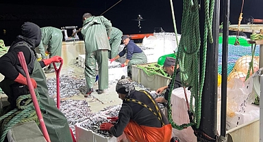 2025 Balıkçılık Sezonu Rakamlarla Değerlendirildi