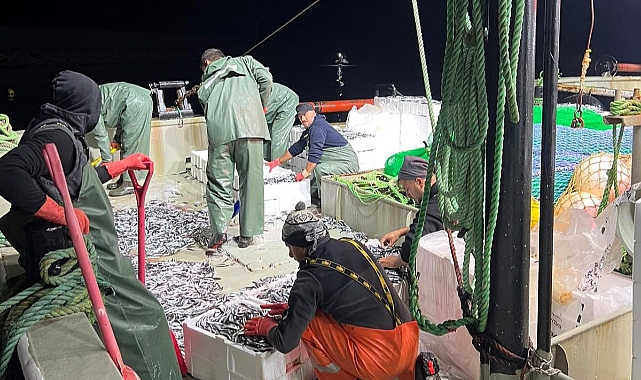 2025 Balıkçılık Sezonu Rakamlarla Değerlendirildi