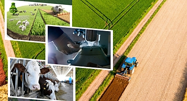 226 Milyon Liralık Tarımsal Destek Çiftçilerin Hesaplarına Yatırıldı 