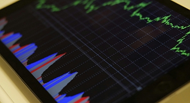 Aralık Ayında Yatırımcısına En Yüksek Reel Getiriyi DİBS Sağladı