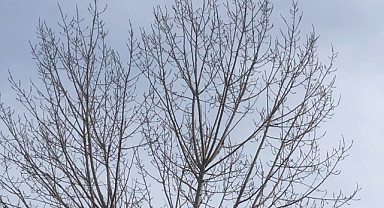 Babaeski’de Yarın Hava Nasıl Olacak? Soğuk ve Parçalı Bulutlu Gün Bekleniyor