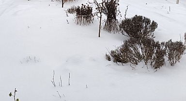 Babaeski’de Yarın Kar Sürprizi: Hafif Kar Yağışı Bekleniyor