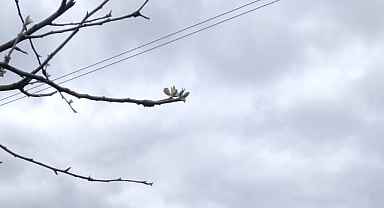 Babaeski’de Yarın Sağanak Yağış Etkili Olacak: İşte Detaylar!