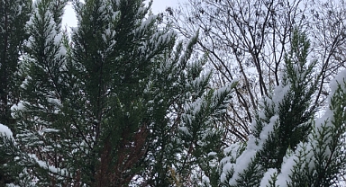 Babaeski’de Yarın Soğuk ve Kar Yağışlı Hava Etkili Olacak: Sıcaklık -6 Dereceye Kadar Düşecek