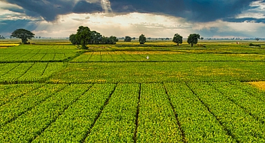 Çiftçiye 1,6 Milyar Lira Destek 