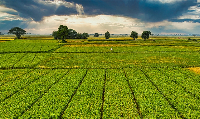 Çiftçiye 1,6 Milyar Lira Destek