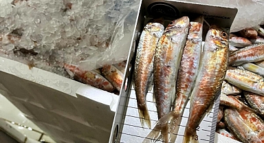 Kıyıköy ve İğneada’da Su Ürünleri Denetimi 